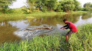 incredible Baam fishing||Village fishing||amazing fishing video||fish hunting