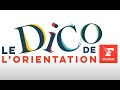 Le dico de lorientation  master et mastre