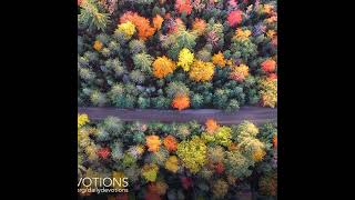 Your Paths screenshot 2