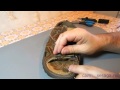 Как шить сапожным шилом