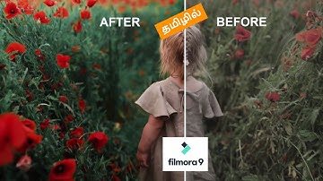 Colour Grading on Video for Beginners in Tamil | Cinematic Video Filmora9