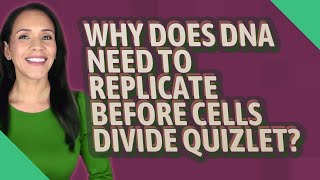 Why does DNA need to replicate before cells divide quizlet