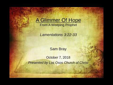 Video preview