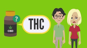 6 Reasons You Could Fail a Drug Test After Taking CBD