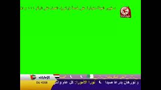 طيور الجنة شاشة مباشر اخضر