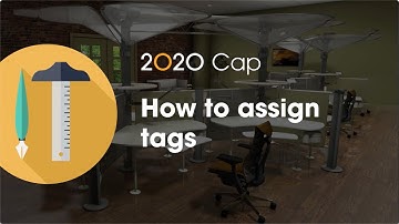 2020 Cap Tip: How to assign tags