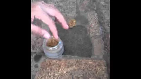 O que é pó de mico e para que serve?