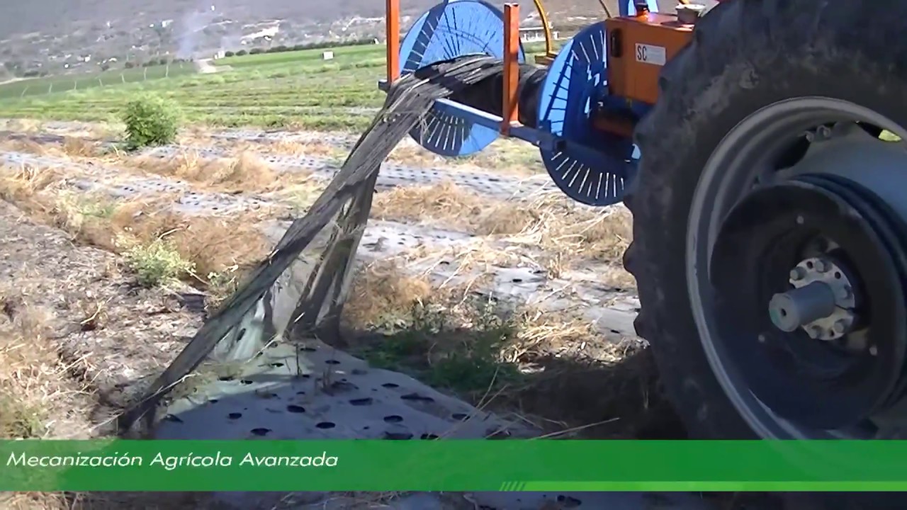 RECOGEDORA DE PLASTICO