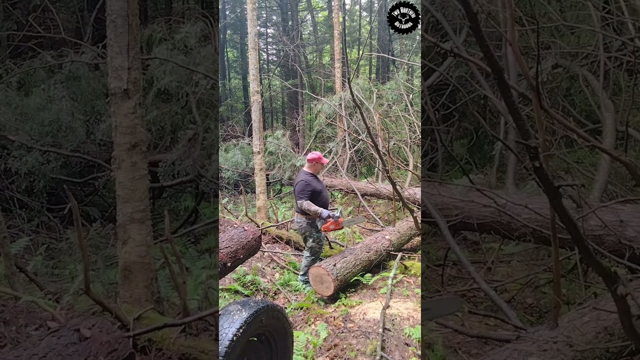 He is awful mad! ๐ก #chainsaw #forest #homestead