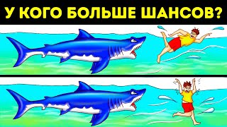 Разгадайте эти 11 загадок, и вы сможете выжить в дикой природе