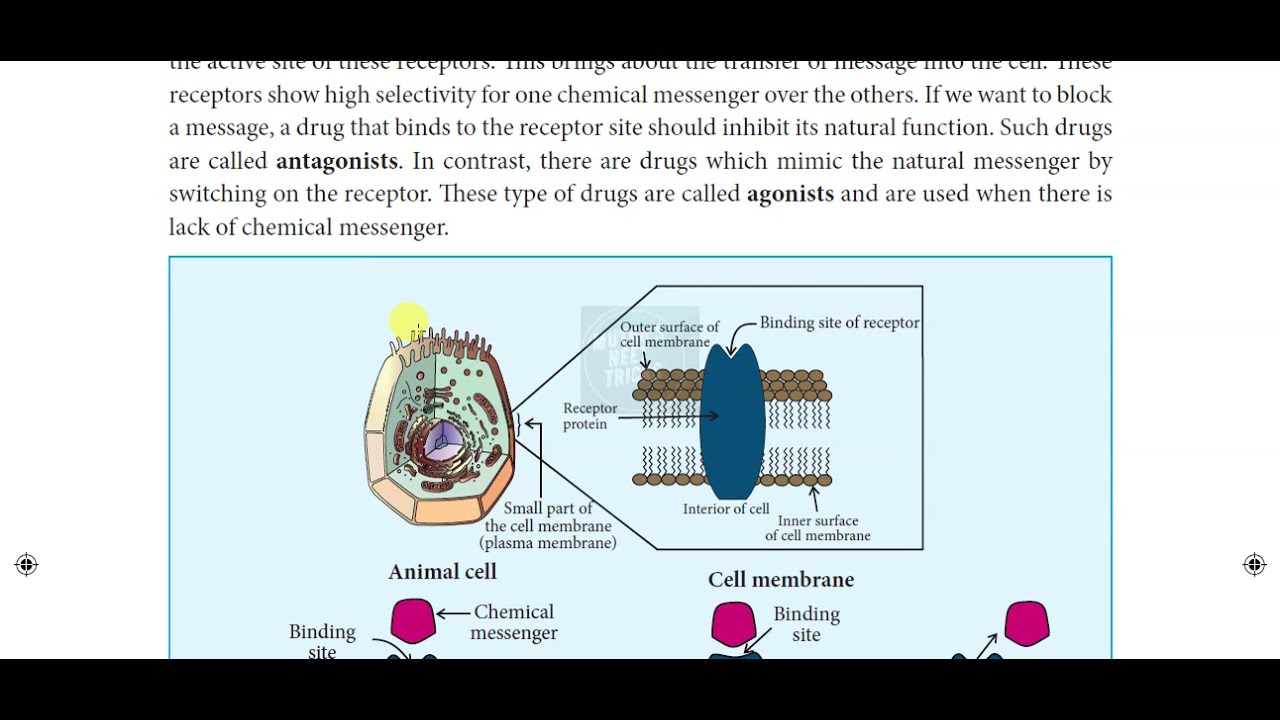 Receptor as drug target