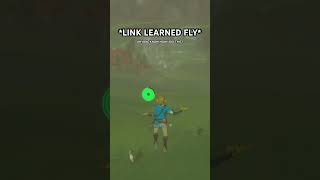 LINK HAS NOW UNLOCKED THE POWER OF FLIGHT! (Another day in the life of Link) #zelda #botw #nintendo