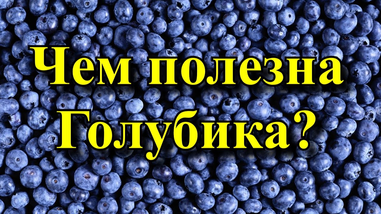 Голубика польза и вред для женщин. Чем полезна голубика. Голубика полезные свойства. Ягода голубика полезные свойства. Голубика чем полезна для здоровья.