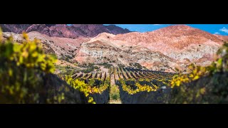 Conocé Bodega Estancia Uspallata