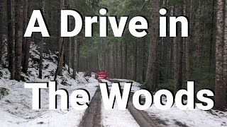 A Ride In The Woods Up To The Snow.
