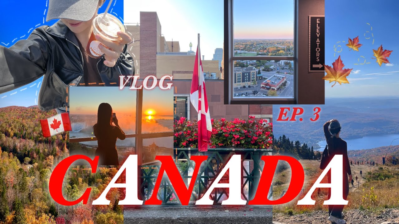  이 여행 사랑 되나요? ✧˖° ♡ 