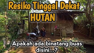 Download Lagu Sering kali di kunjungi binatang, rumah dekat hutan yang sederhana namun ada sesuatu dibalik itu..! MP3 Download Lagu Sering kali di kunjungi binatang, rumah dekat hutan yang sederhana namun ada sesuatu dibalik itu..! MP3