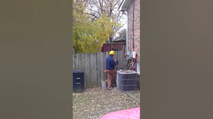 Crazy dog meter install
