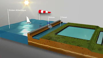 Comment Appelle-t-on les canaux des marais salants ?