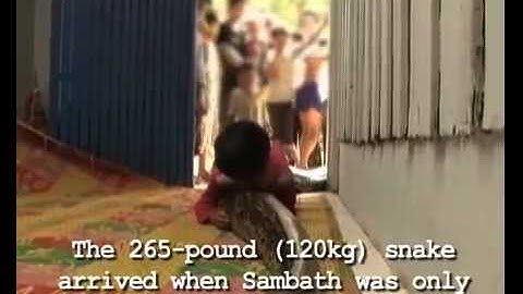 Kid Rides Giant Python   YouTube