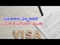 Choosing the Right Visa for Your U.S. Trip: What You Need to Know!