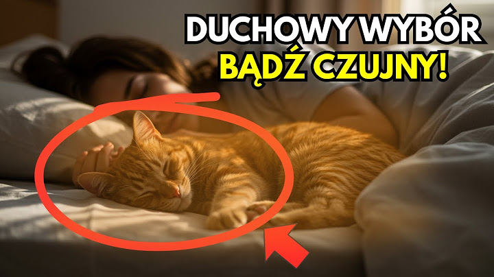 CZY TWÓJ KOT NA TOBIE ŚPI? POWÓD JEST ZNACZNIE GŁĘBSZY, NIŻ SIĘ WYDAJE