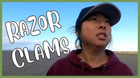 Ocean Shores Razor Clamming 2021