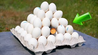 Experiment: XXL Firecracker vs Lots of Raw Eggs