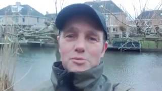 Problemen Bij Onderhoud En Snoeien Van Dakplatanen