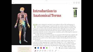 Información Unit 1 Lab Test Review (Human Body, Chemistry, Cell, Tissues (Epithelial, and Connective), Skin Noticias