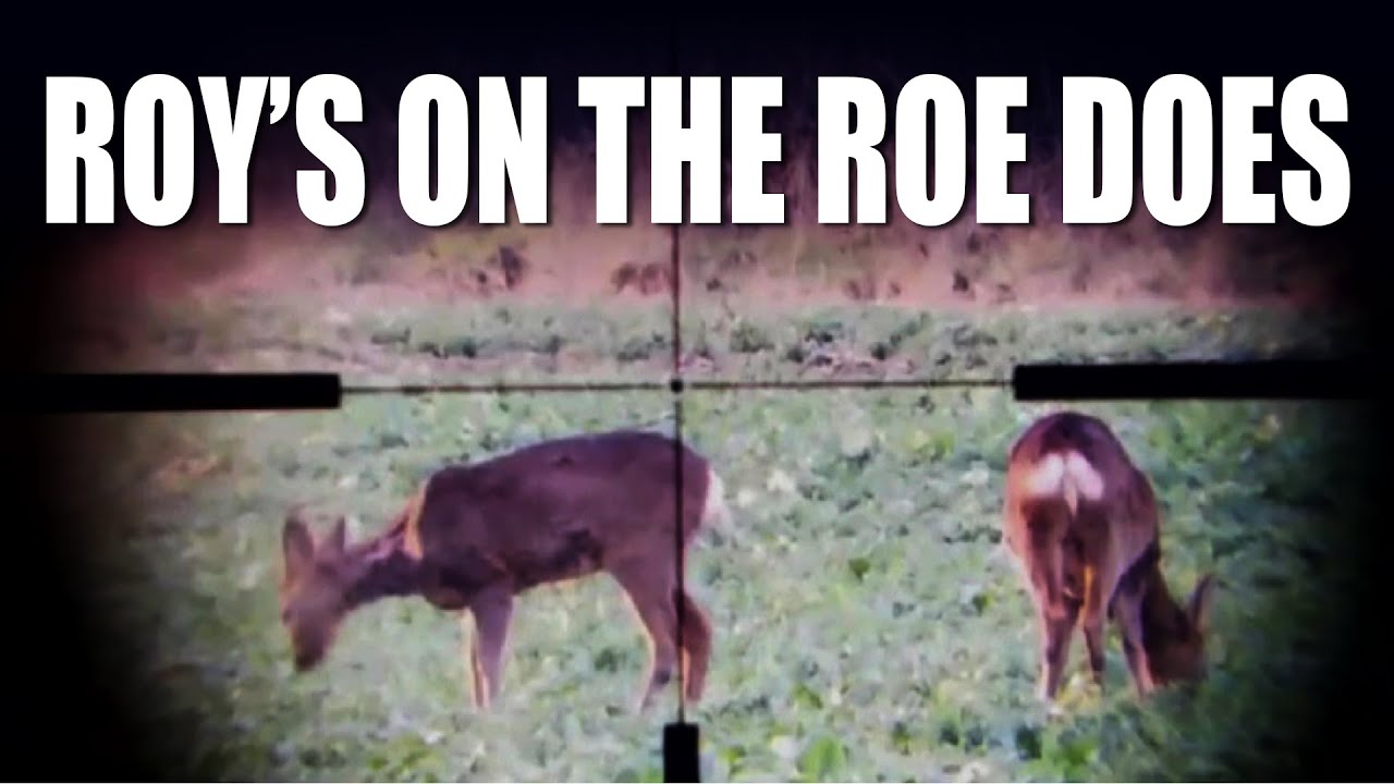 Roy's on the Roe Does - YouTube