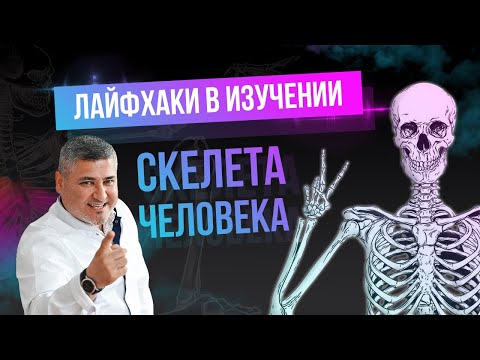 Video: Kod aksijalnog skeleta?