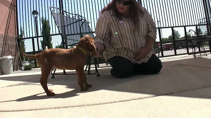 VIDEO: Ferris Finds a Home