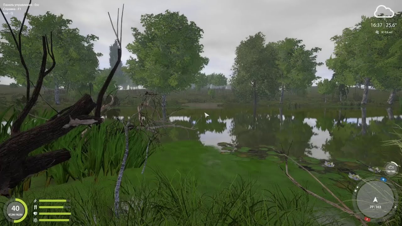 Русская Рыбалка 4. рр4. р. Северский Донец. Ерш, ерш носарь. - YouTube