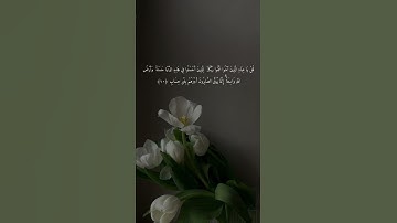 آيـة من القرآن 🤍 | سورة الزمر الآيـة ١٠
