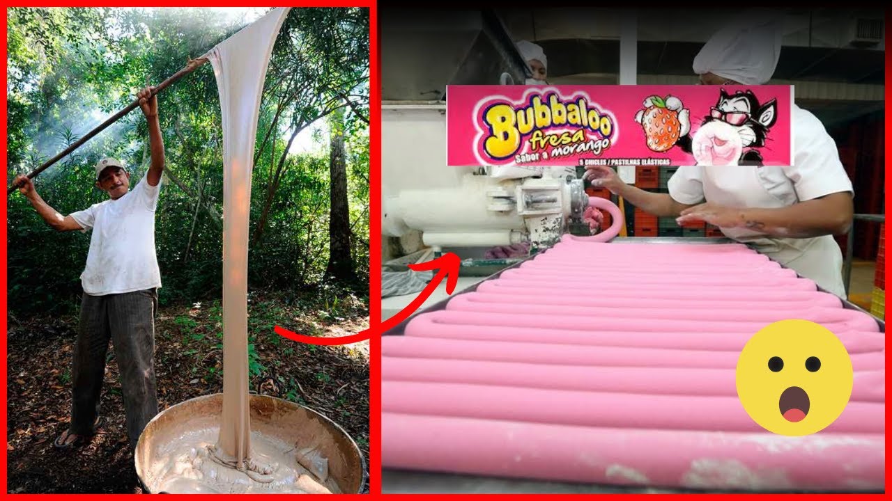 CHICLE ? DE QUE ESTÁ HECHO ? (PROCESO DE FABRICACIÓN )