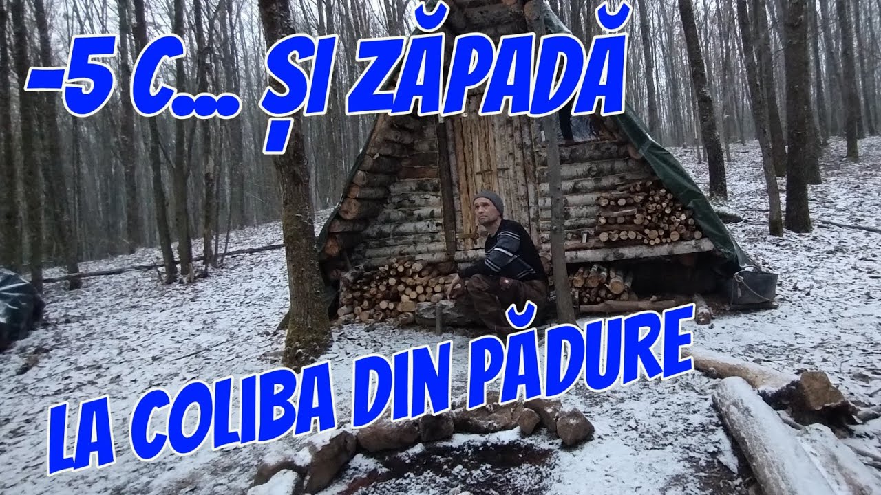 Zi de iarnă în 18 martie...Am  gătit ciorbă de flori