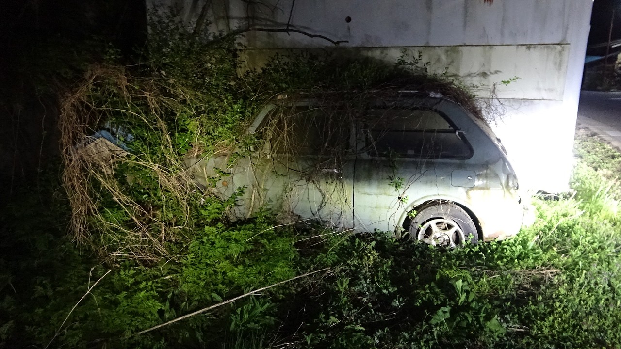 廃墟に草ヒロ廃車 日産パオ