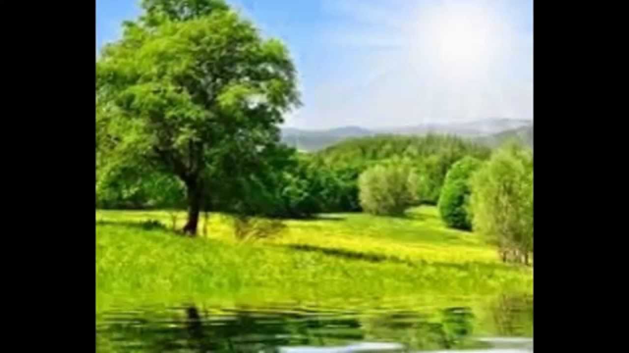летняя природа. картинки онлайн летняя природа. картинки