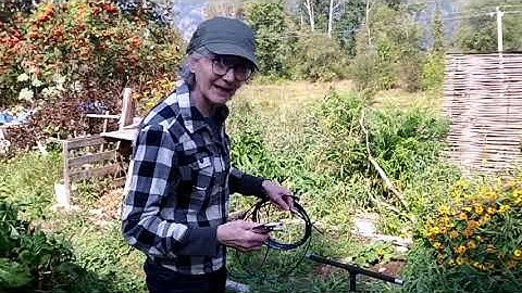 PowerLine EMF Reading