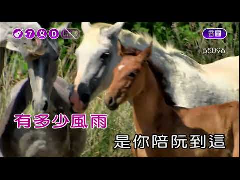 心甘情願~鳳娘~女D調~伴奏~導唱甲