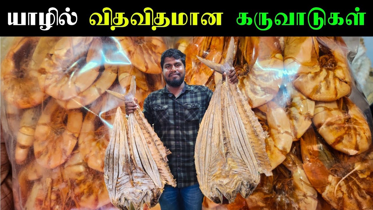 யாழில் விதவிதமான கருவாடுகள் | Jaffna | Dry Fish