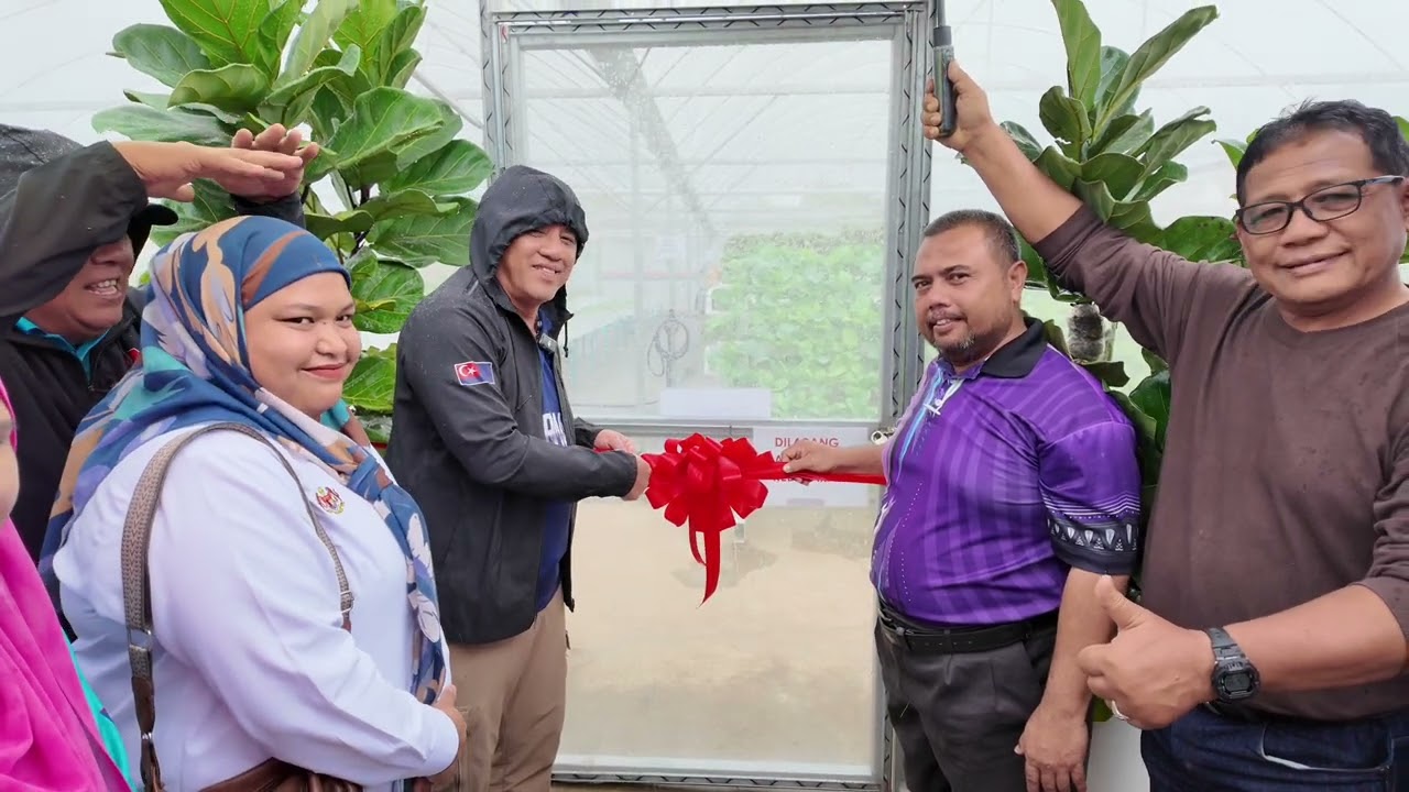 Kebun Hidroponik Cetus Gelombang Komuniti