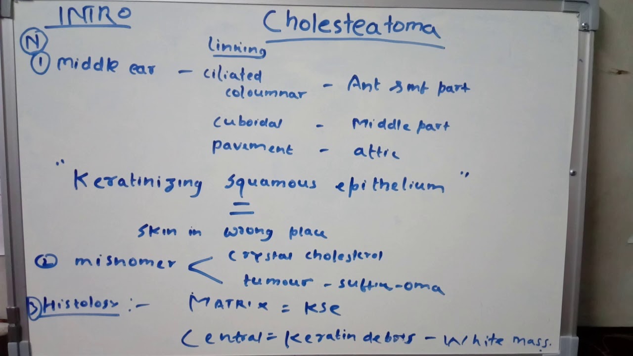 Aipgme 2013 Cholesteatoma - part-1