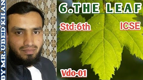 06TH ICSE CHP 01 THE LEAF VIDEO 01 PRESENTED BY UBED KHAN