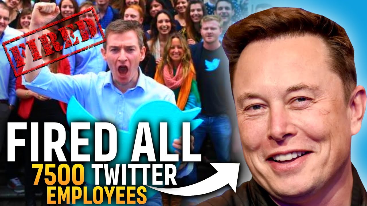 Why Did Elon Musk FIRE All Twitter Employees