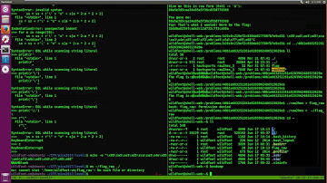 picoCTF 2017 LEVEL1 Reverse Engineering Raw2Hex