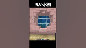可愛くて丸い水槽 #マイクラ #minecraft #マインクラフト #shorts