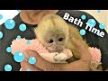 Baby Monkey Takes her Very First Bath! ❤️❤️❤️