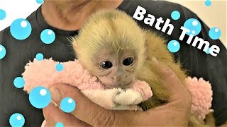 Baby Monkey Takes her Very First Bath! ❤️❤️❤️